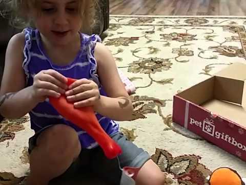 July 2015 PetGiftBox unboxing video - BBQ theme