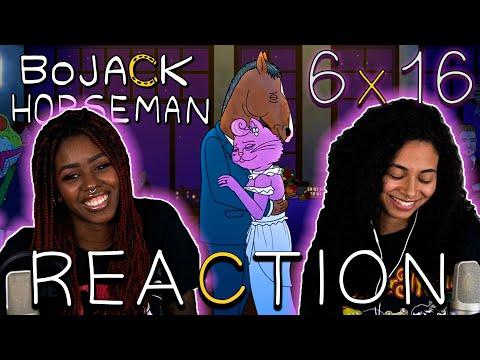SERIES FINALE BoJack Horseman 6x16 - "Fun While It Lasted"  REACTION!!