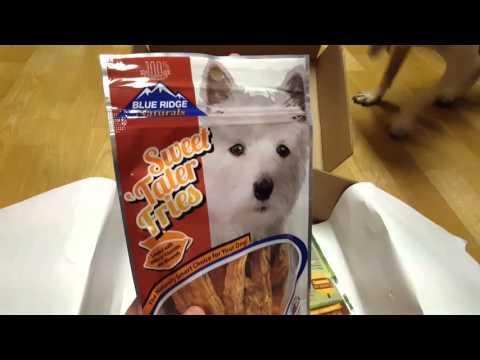 November 2015 Petgiftbox Unboxing with Khaleesi!