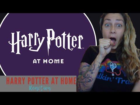 Harry Potter At Home announcement REACTION