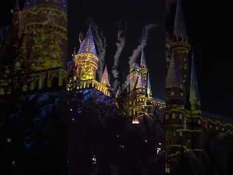 The Magic of Christmas at Hogwarts Castle Light Show