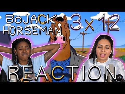 BoJack Horseman 3x12 - "That Went Well" REACTION!!