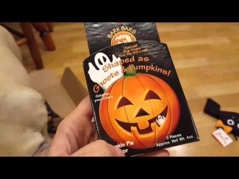 October 2015 Petgiftbox unboxing video w/ Khaleesi