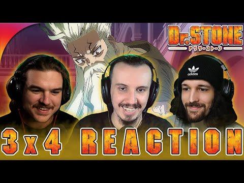 Dr Stone 3x4 Reaction "Eyes of Science"