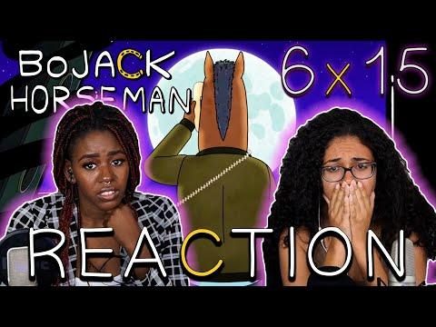 BoJack Horseman 6x15 - "The View from Halfway Down" REACTION!!
