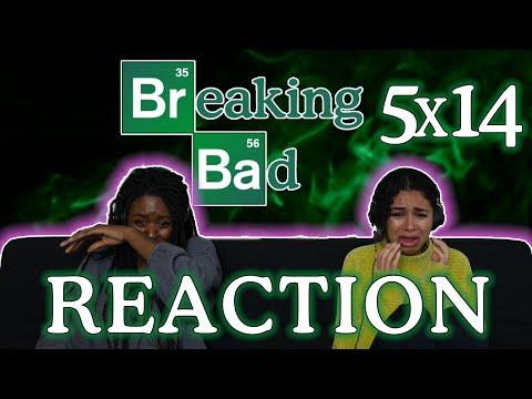Breaking Bad 5x14 - OZYMANDIAS - REACTION PART 2!