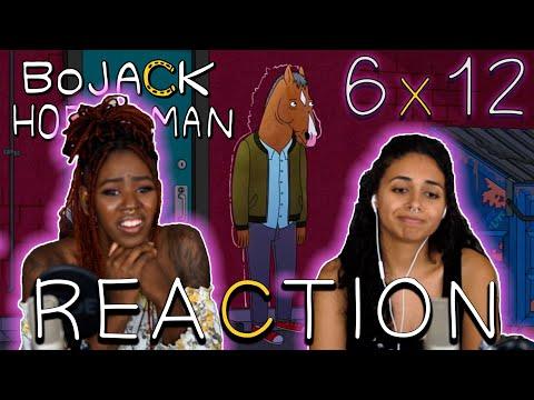 BoJack Horseman 6x12 - "Xerox of a Xerox" REACTION!!
