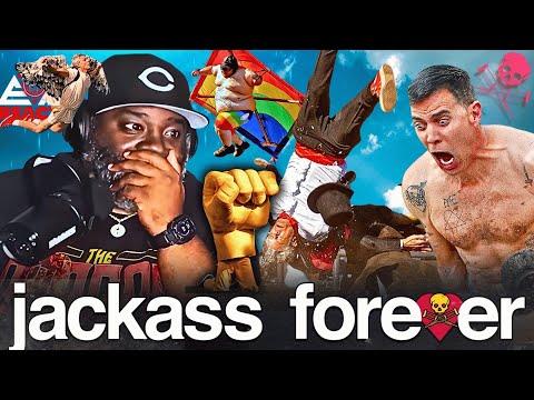 The JACKASS FOREVER Reaction You Never Knew You Needed to See