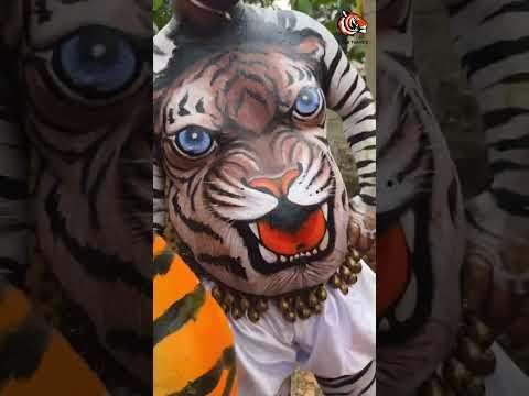 Funny Tiger Dance 🔥🐯 #pili #shorts #jailer #tigerdance