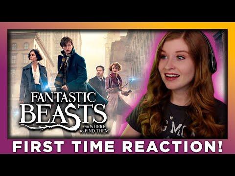 FANTASTIC BEASTS AND WHERE TO FIND THEM - MOVIE REACTION - FIRST TIME WATCHING