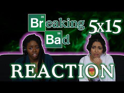 Breaking Bad 5x15 REACTION!!