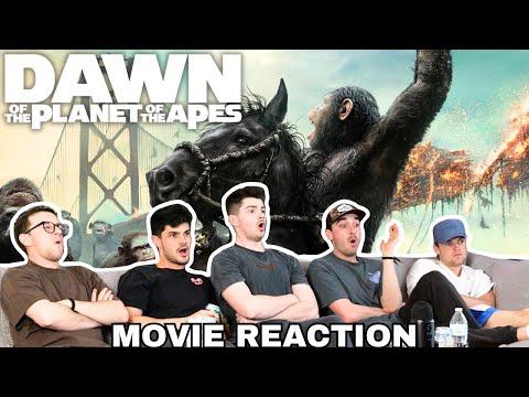 THIS SERIES IS PEAK...*Dawn of The Planet of The Apes* | Reaction/Review