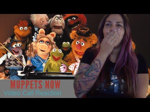 Muppets Now Video Call Reaction! (Disney+)