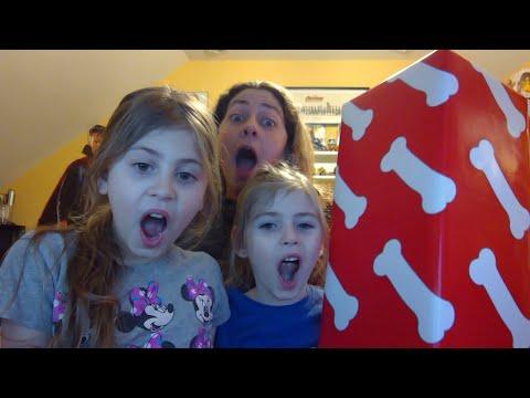 LIVE Unboxing with the Kiddos: Puppy Star Christmas