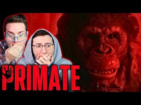 PRIMATE *REACTION* FIRST TIME WATCHING & IT WAS BANANAS! 🙊
