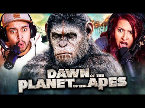 DAWN OF THE PLANET OF THE APES (2014) MOVIE REACTION - FIRST TIME WATCHING - REVIEW