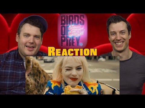 Bird of Prey - Teaser Trailer Reaction / Review / Rating