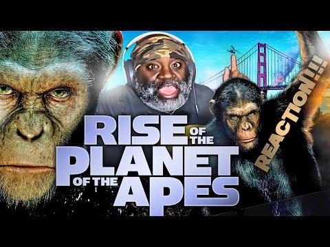 RISE OF THE PLANET OF THE APES Made Me Root For Caesar
