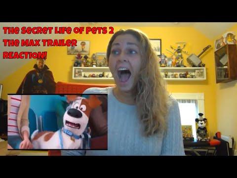 The Secret Life of Pets 2: The Max Trailer REACTION!