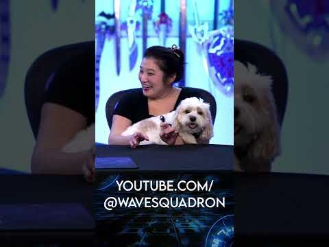 The Zillow BEAST!  Watch Janci and Obi's reaction over on @WaveSquadron #starwars #clonewars