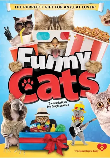 Funny Cats
