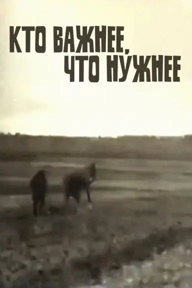 Who's More Important, What's More Necessary