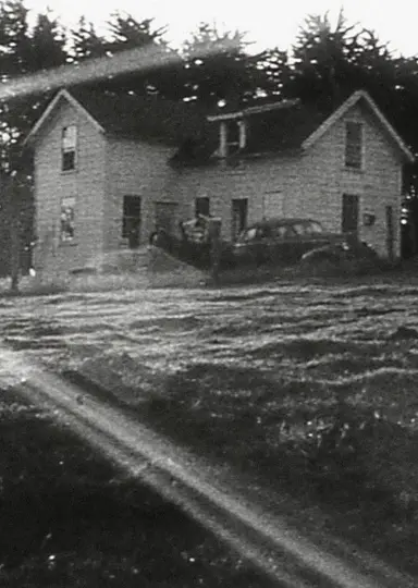 Have You Thought of Talking to the Director?