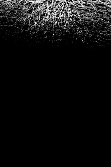 For When I Think, There is This Heaviness That I Would Rather You Not Carry